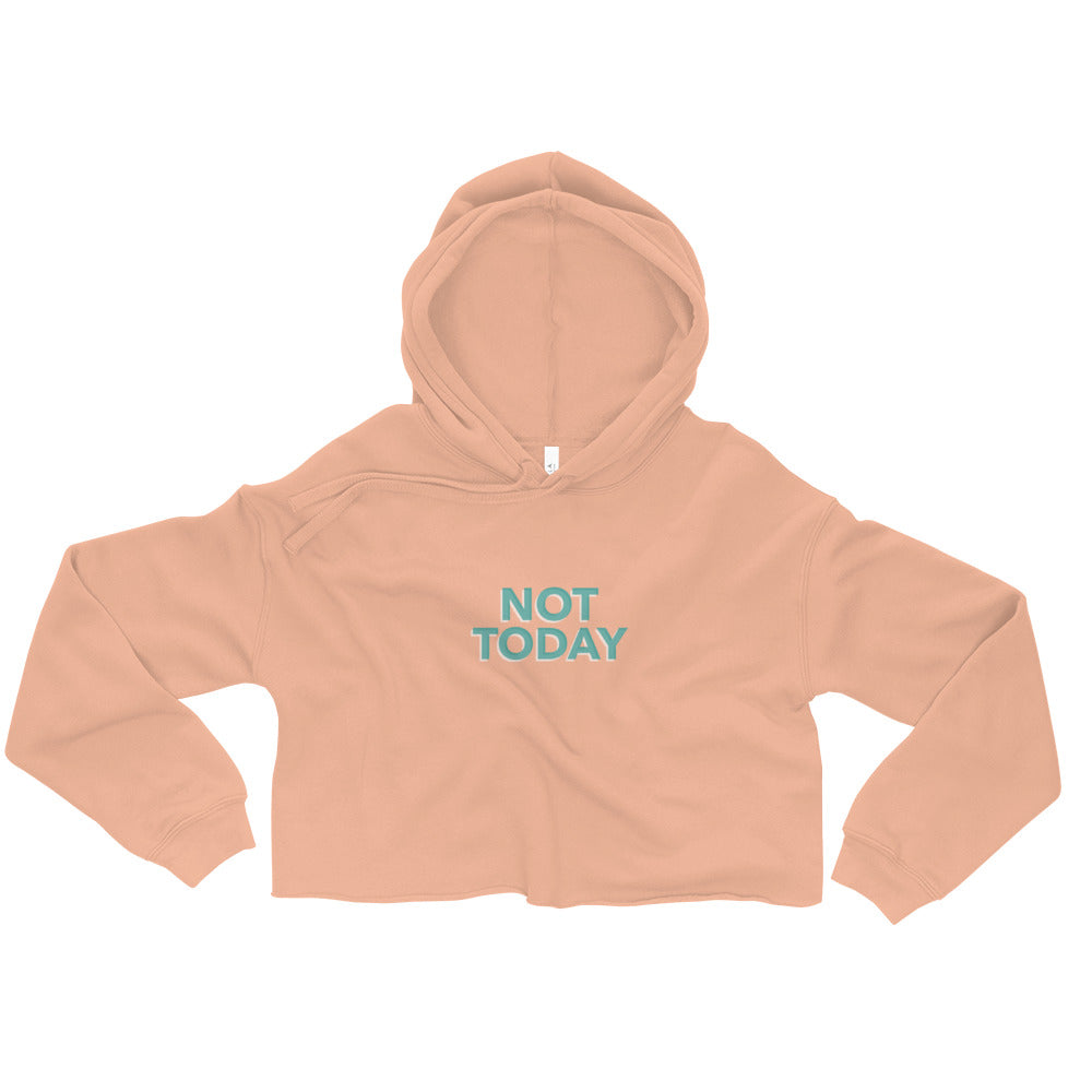 Crop Hoodie - Introverts Collection